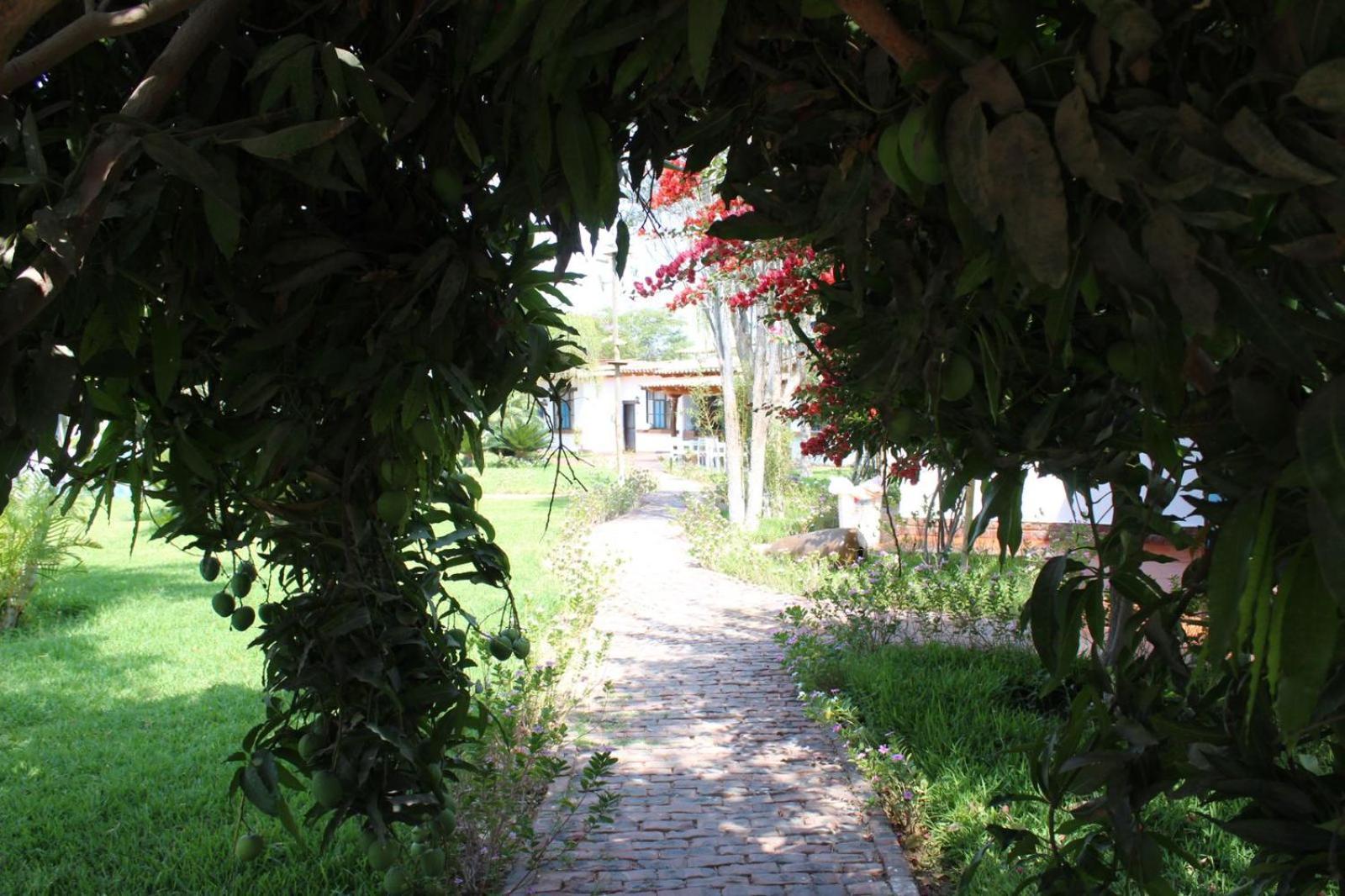 Hotel Casa Hacienda Nasca Oasis Nazca Exterior foto